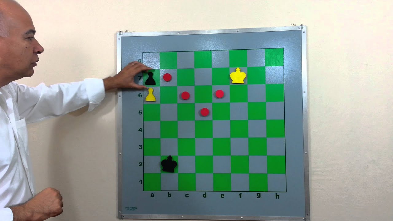 Xadrez - Princípios do Final # 40