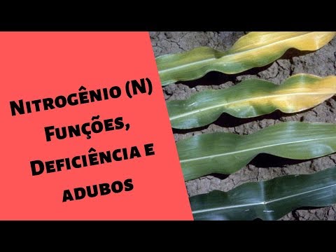 (Nitrogênio N) para as PLANTAS Funções, Sintomas e adubos .I. Série Nutrientes