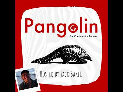 38. Chatting Nature Therapy, Outdoor Education & ‘Wee Blue Dot’ (with Katie Macfarlane)