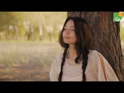 Walkthrough Walkthrough