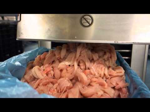 HORIZONTAL VERTICAL CUTTER (HVC) Geschnetzeltes aus Geflügelbrust