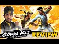 Cobra Kai The Karate Kid Saga Continues Video Game Review