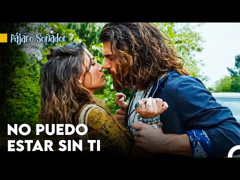 Que Tu Olor Se Mezcle Con El Mío Esta Mañana - Pájaro Soñador