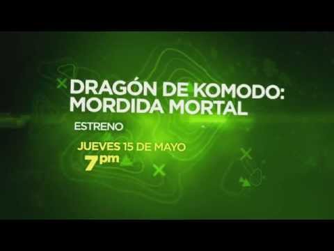 KOMODO: THE DEADLY BITE - DISCOVERY PROMO
