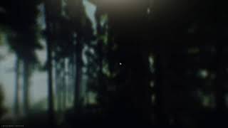 ［タルコフ］知識無しの初心者がやるTarkov