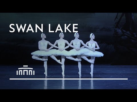 Dance of the little swans from Swan Lake - Dutch National Ballet