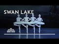 Dance Of The Little Swans From Swan Lake Dutch National Ballet