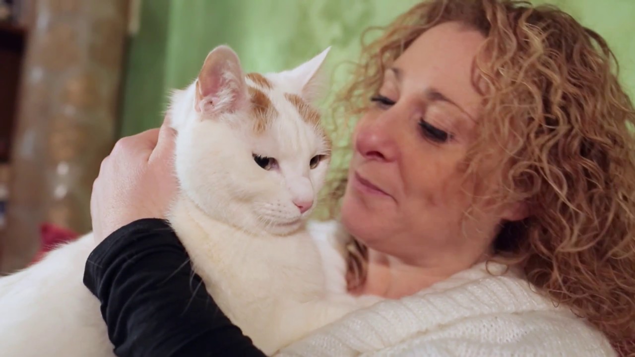 Feliway Wohlbefinden Classic Spray Transport, 20 ml