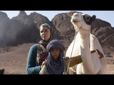 Tehu - Egy kis teve nagy kalandja trailer