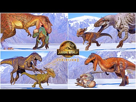 Pachycephalosaurus and Stygimoloch Fighting Animations vs All Dinosaurs in JWE2