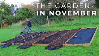 The Garden in November