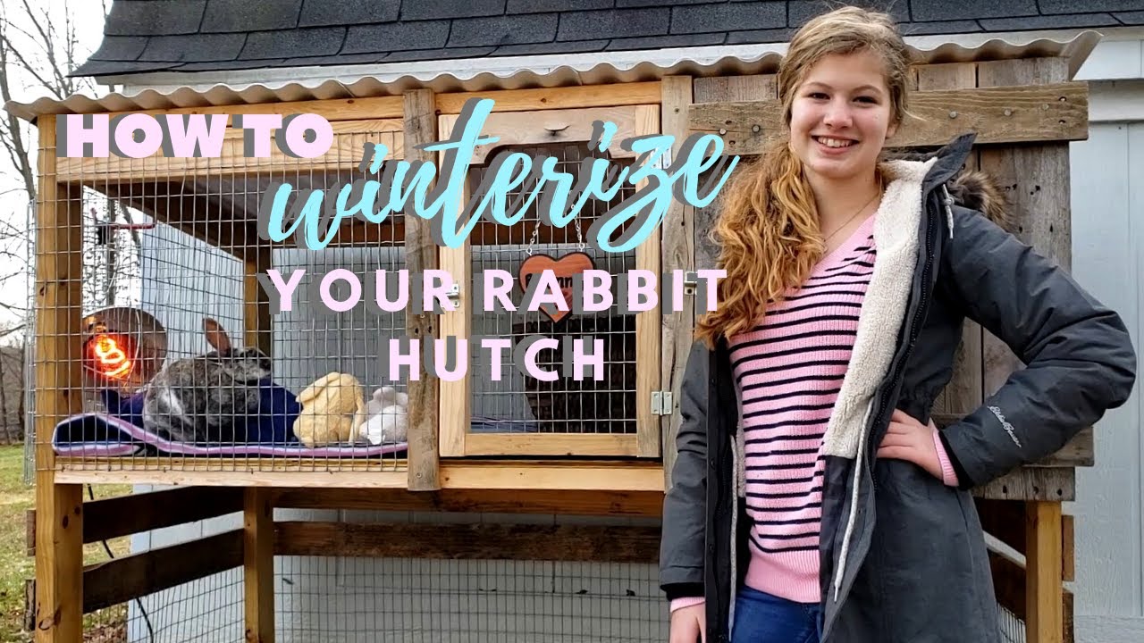 How To Winterize Your Rabbit Hutch