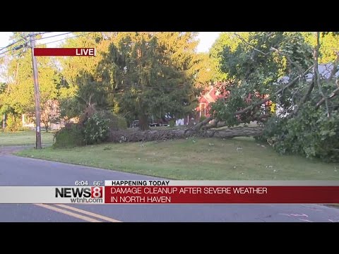 Storm damage cleanup continues