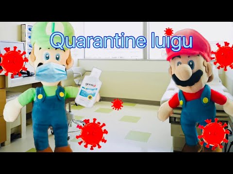 Quarantine Luigi