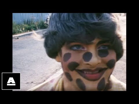 Cruiser's Creek video thumbnail