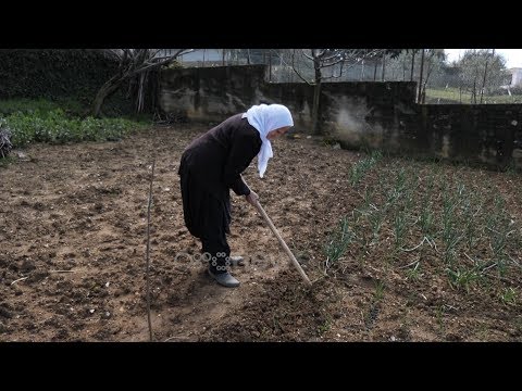 Ora News në Priskë, banorët e kalojnë kohën me punët e fshatit, shqetësim ushqimi i blegtorisë