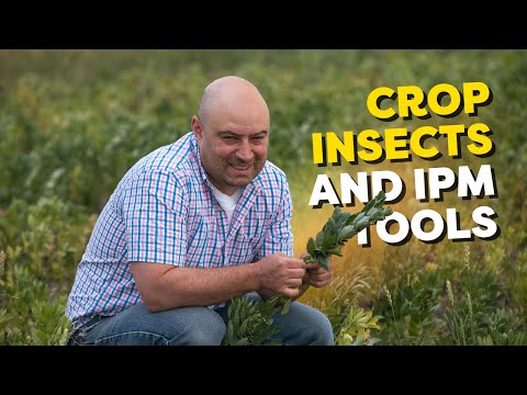 Dr. Sean Prager: Insects & Crops