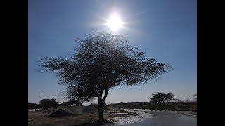 THE GOD-CALLED BURDEN & Ministry of David & Karen Davis: NYC To Mount Carmel, Israel