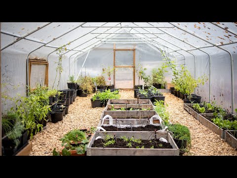 Odlingsdagboken 2020-10-18