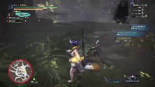 【女性実況】モンハン！！ ゆくしーと愉快な仲間達♪【MHW:IB】