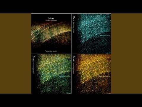 Go On And Cry (feat. Visionary)