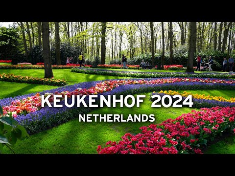 🇳🇱 Keukenhof, April 2024 - Netherlands   [4K]