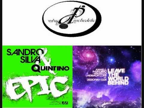 Sandro Silva & Quintino vs SHM - Leave the epic world behind (Psychedelic Dudes bootleg mash up)