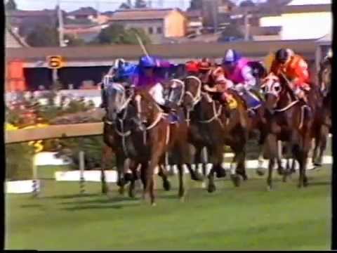 Ring Joe - Rosehill Guineas 1987