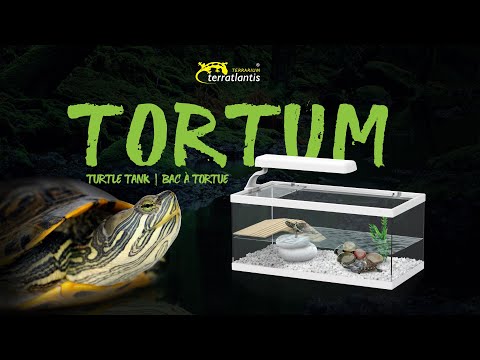 Watch Video on YouTube