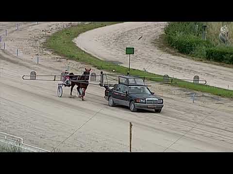 Aversa trotto 20 Maggio 2023 - Prova di inserimento in categoria