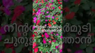 Malayalam Kavitha Lyrical Whatsapp Status  Ayyappa