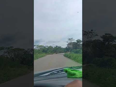 vía San Carlos de guaro en el meta colombia #parati #vistashermosas #vaca #viajeinolvidable