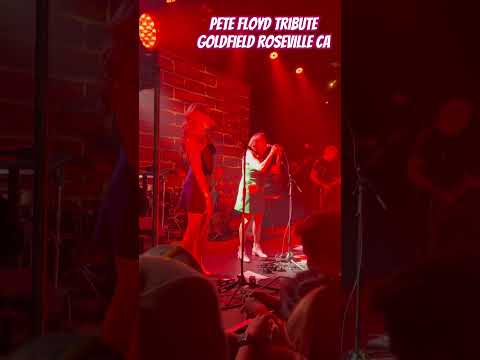 Another Brick in the Wall