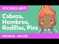Cabeza Hombros Rodillas Y Pies Canciones Para Niños Pequeños Spanish Songs For Littles