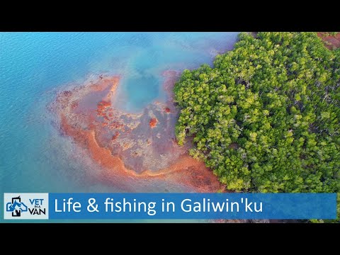 Life and fishing in Galiwin'ku, Elcho Island