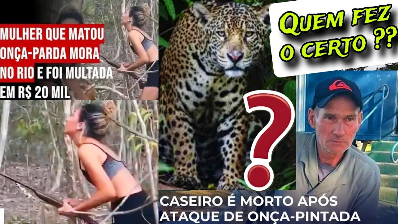 O ATAQUE DA ONÇA PINTADA !!! 2CASOS SEMELHANTES COM FINAIS DIFERENTES .! QUAL A SUA OPINIÃO??