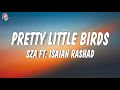 SZA Pretty Little Birds Lyrics Ft Isaiah Rashad