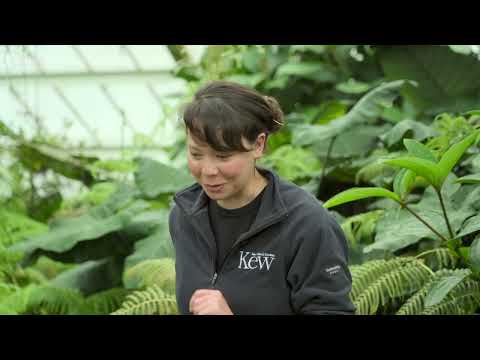 Gardeners World 2021 S54E16