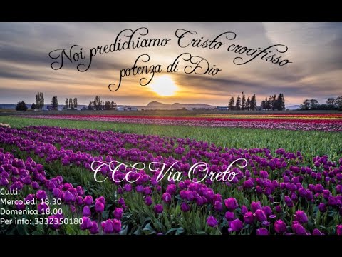 2023/02/15 - Culto Mercoledì - Fr. Pispicia - Ezechiele 15:1-5 ; Isaia 5:1-4