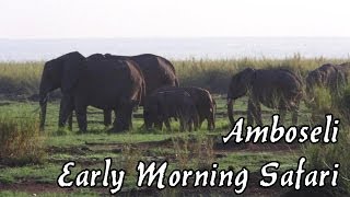 preview picture of video 'Afrika Amboseli National Park Early Morning Safari'