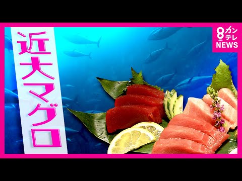 研究:メキシコ湾流は早ければ2025年にも干上がる可能性があり、その影響は壊滅的だろう