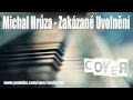 PIANO Michal Hrůza - Zakázané Uvolnění COVER ...
