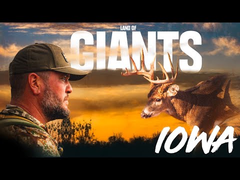 Mike Passed a 180-Inch Buck... Then His Dream Hunt Unfolded