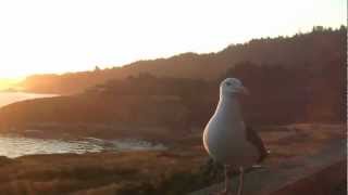 preview picture of video 'Timber Cove Inn'