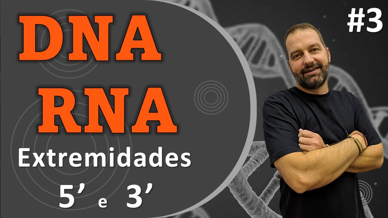 Ácidos Nucleicos - As extremidades 5' e 3' do DNA e do RNA