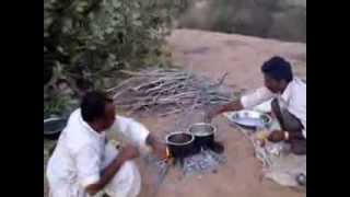 preview picture of video 'Desert National Park (Jaisalmer, INDIA)'