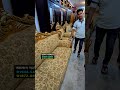 Sofa Set Price In Bangladesh Shorts Furniture Viralvideo Bed Rsbd Reel Foryou Homedecor