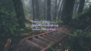 Carla&#39;s Dreams - Pe umerii tai slabi Versuri