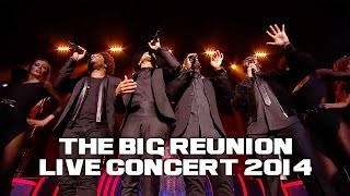 DAMAGE - LOVE II LOVE (THE BIG REUNION LIVE CONCERT 2014)