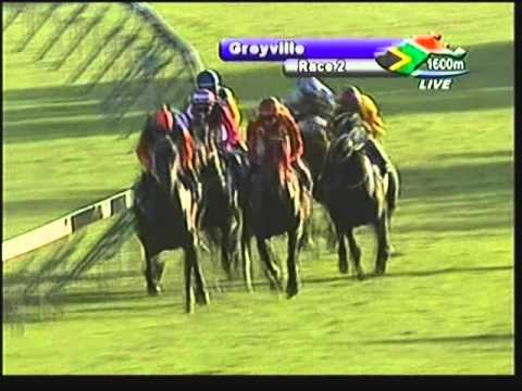 2013-02-19 Greyville - race 2